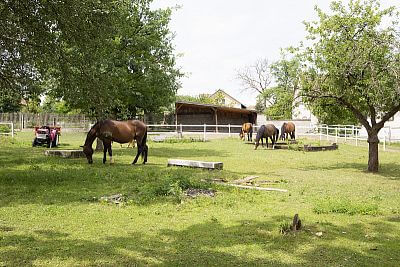 Náš ranč v Líšnici u Zdeňky Pohlrecih
