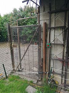 Ochrana drůbeže pomocí elektrického ohradníku