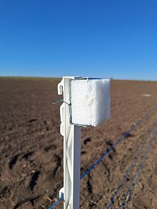 Elektrické a pachové ohradníky v akci: Ochrana plodin na výstavě Naše pole