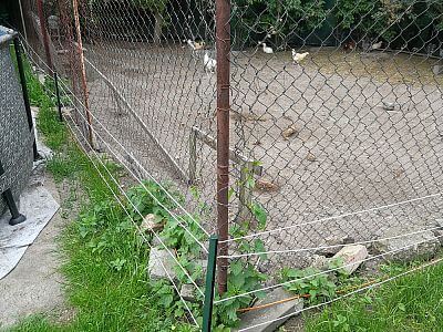 Ohraničení prostoru pro slepice elektrickým ohradníkem fencee