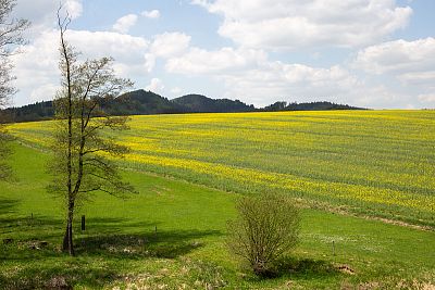 Okolní prostředí Farmy Petrlák