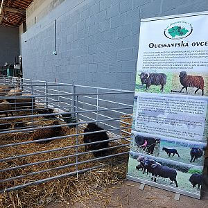 Ostrava Wool Fest 2026