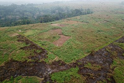 Pole vyfocené z dronu