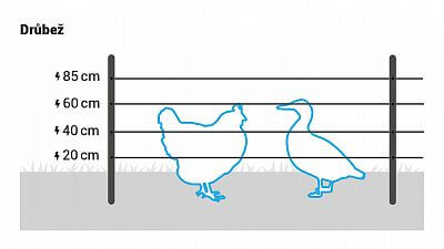 Pro drůbež instalujte 4 vodiče ve výšce 20, 40, 60 a 85 cm. Případně využijte naše sítě pro elektrický ohradník pro drůbež.