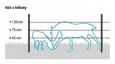 Pro koně s hříbaty instalujte 3 pásky ve výšce 45, 75 a 120 cm.