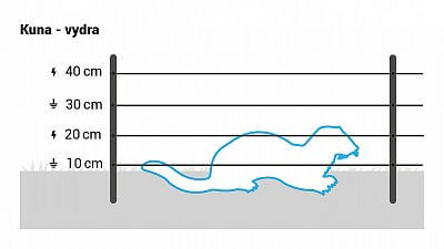 Pro kuny a vydry instalujte 4 vodiče ve výškách 10, 20, 30 a 40 cm.