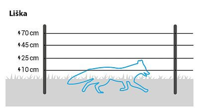 Pro lišku nainstalujte 4 řady vodičů ve výškách 10 cm, 25 cm, 45 cm a 70 cm, nebo využijte set proti liškám.