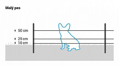 Pro malé psy instalujte 3 vodiče ve výšce 10, 25 a 50 cm.