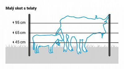 Pro malý skot s telaty nainstalujte 3 vodiče ve výšce 45, 65 a 95 cm.