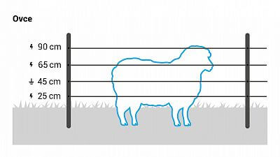 Pro ovce instalujte až 5 lanek ve výšce 25, 45, 65 a 90 cm. Případě využijte naši síť elektrického ohradníku pro ovce.