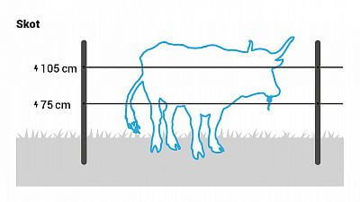 Pro skot instalujte 2 vodiče ve výšce 75 a 105 cm.