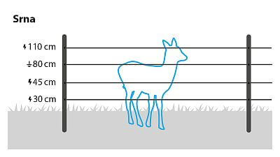 Pro srnu nainstalujte alespoň čtyři řady vodičů ve výškách 30 cm, 45 cm, 80 cm (uzemnění), 110 cm, nebo využijte kompletní set proti srnám.