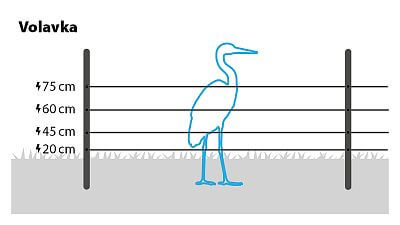 Pro volavku nainstalujte 4 řady vodičů ve výškách 20 cm, 45 cm, 60 cm a 75 cm, nebo využijte a pořiďte si set proti volavkám.