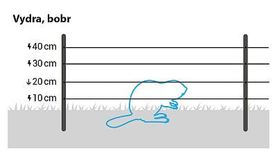 Pro vydru/bobra nainstalujte  4 řady vodičů ve výškách 10 cm, 20 cm, 30 cm a 40 cm, nebo použijte již hotovou sadu pro vydrám/bobrům.