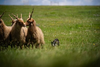 Rodinná farma JJPav Farm Pavlínov