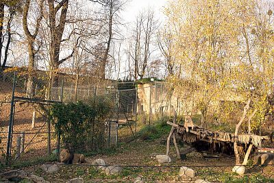 Šelmy sledující naše přípravy