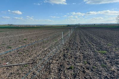 Stavba elektrického ohradníku pro výstavu Naše pole