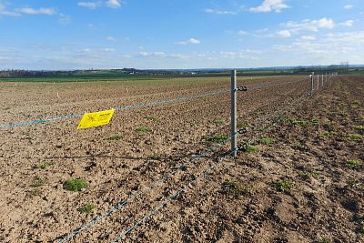 Stavba elektrického ohradníku pro výstavu Naše pole