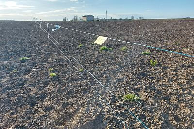 Stavba elektrického ohradníku pro výstavu Naše pole