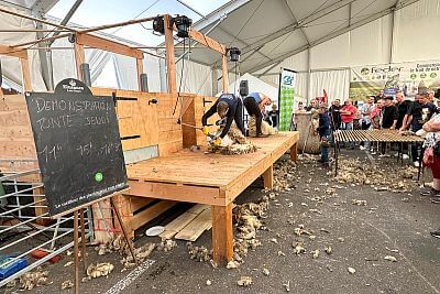 Účast na veletrhu Sommet de l'Elevage 2023