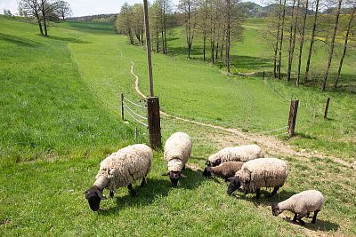 Údolí nazvané "V dolíku"