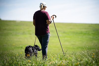 Závody ovčáckých psů