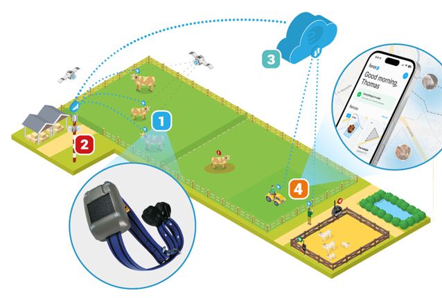 Chytré sledování zvířat v praxi